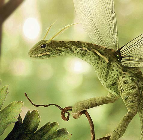 自动攻击网站工具下载