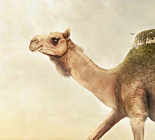 ddos服务器攻击手段